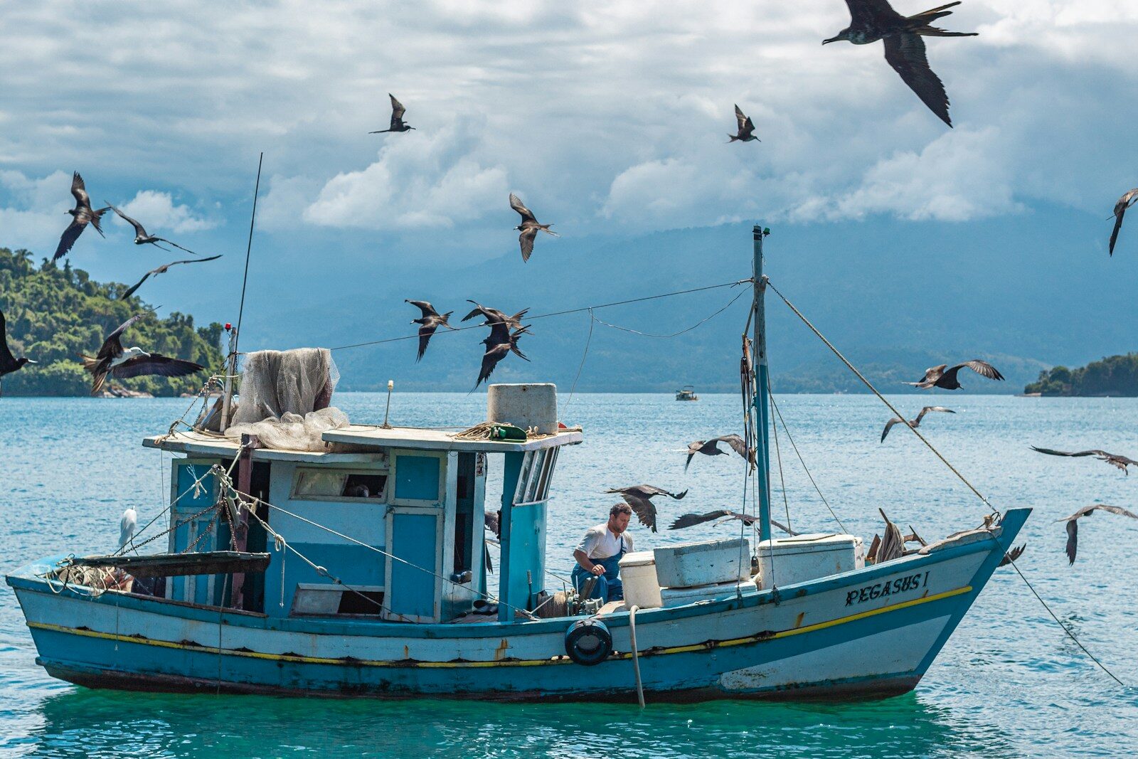 a fishing boat with seagulls flying around it